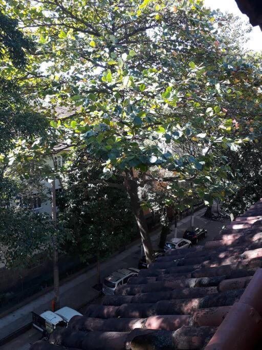 Vaga Em Hostel No Leblon ริโอเดจาเนโร ภายนอก รูปภาพ